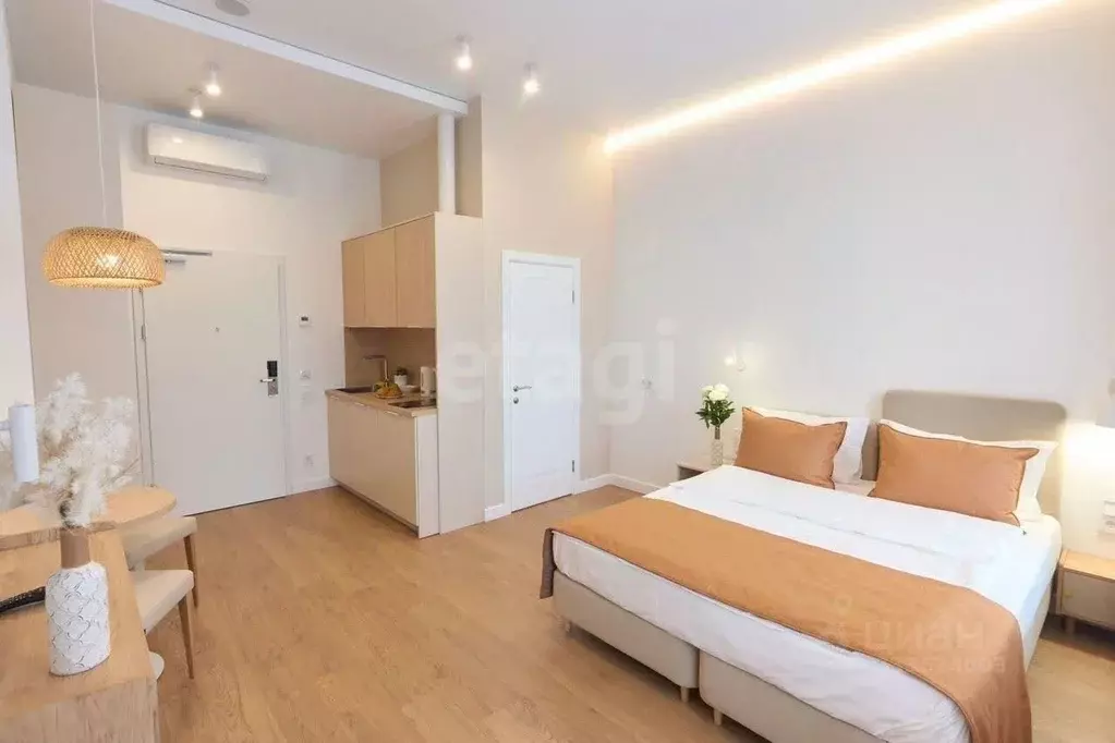 Студия Санкт-Петербург ул. Смолячкова, 17к2 (24.0 м) - Фото 2