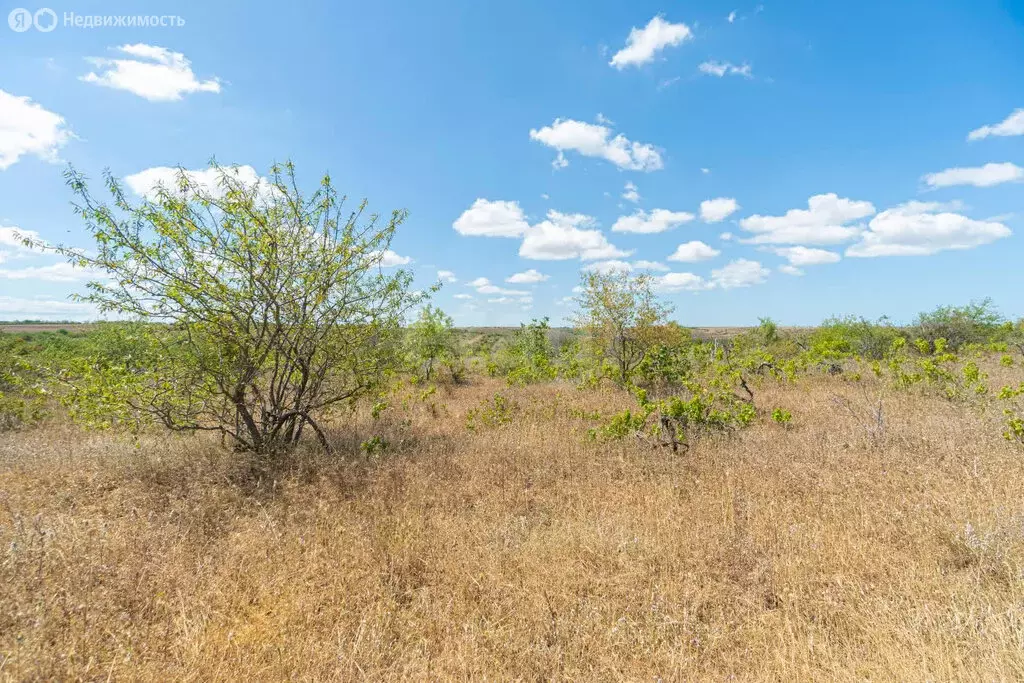 Участок в Бахчисарайский район, село Вилино (327 м) - Фото 1