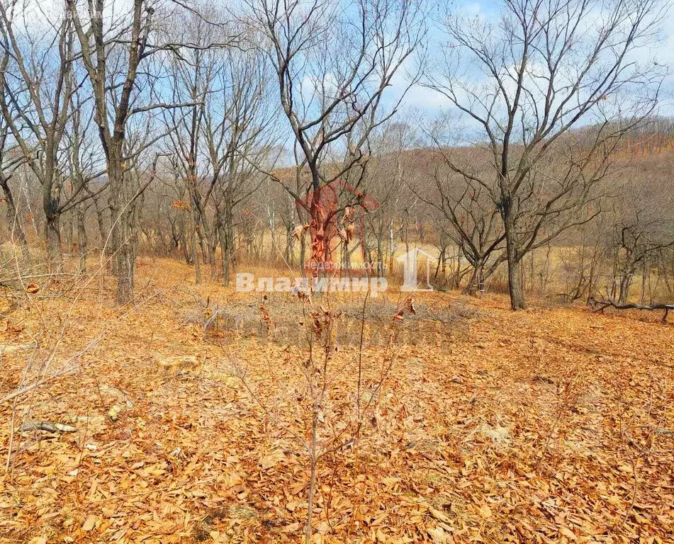 Участок в Находка, СНТ Коммунальник, Перевальная улица (1223 м) - Фото 1