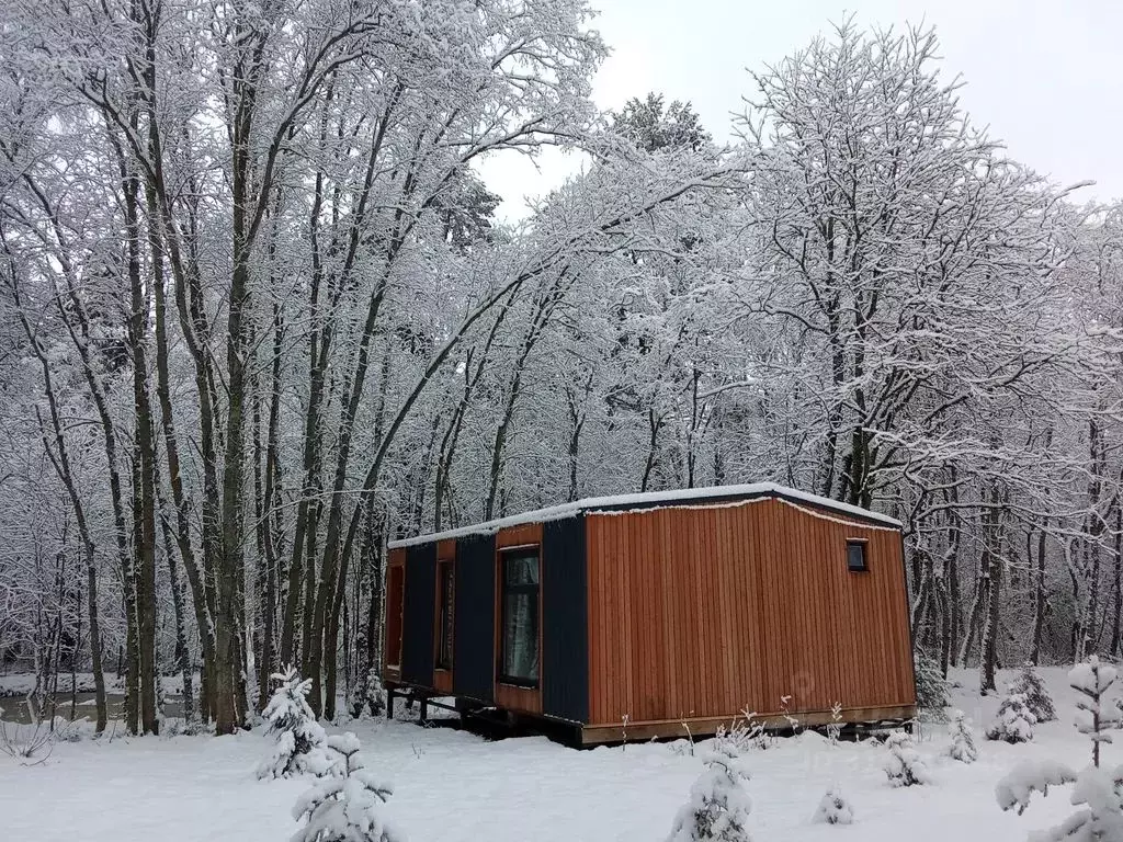 Дом в Ленинградская область, Приозерский район, Красноозерное с/пос, ... - Фото 2