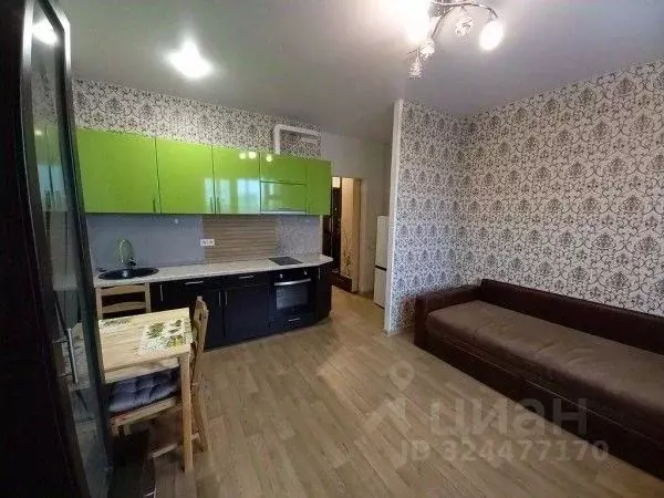 Студия Новосибирская область, Новосибирск ул. Виктора Уса, 4 (24.0 м) - Фото 1