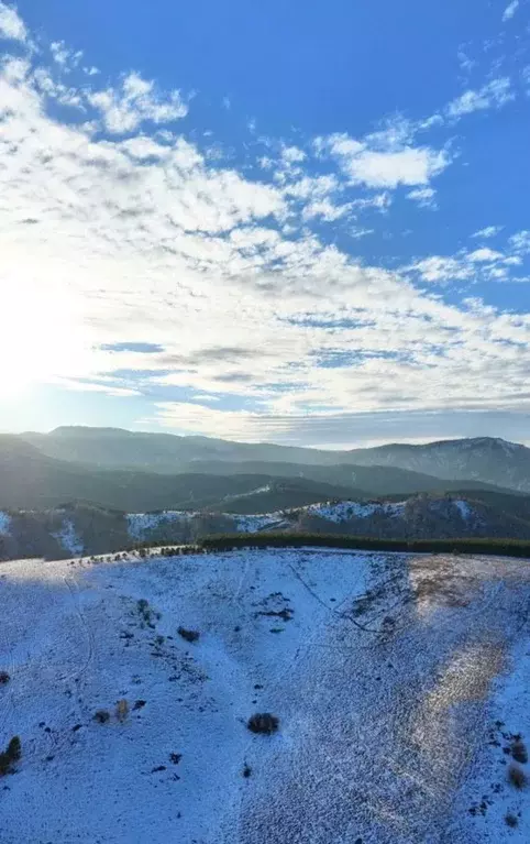 Участок в Алтайский край, Белокуриха Алтайская ул., 82 (239.0 сот.) - Фото 0