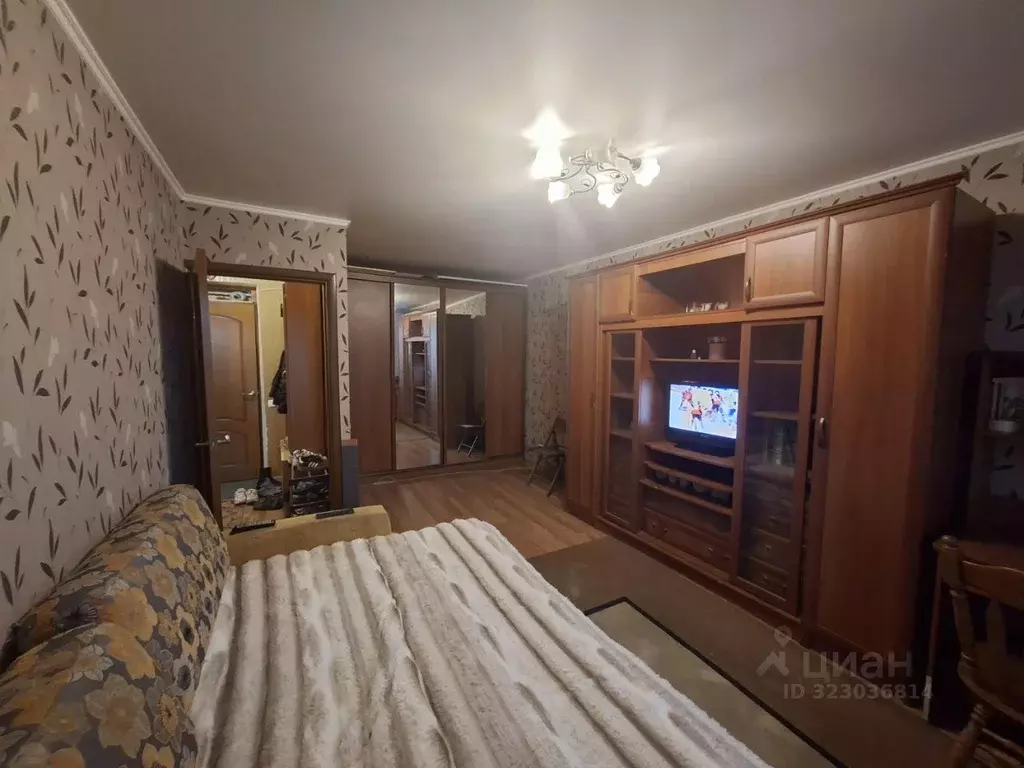 1-к кв. Московская область, Апрелевка Наро-Фоминский городской округ, ... - Фото 2