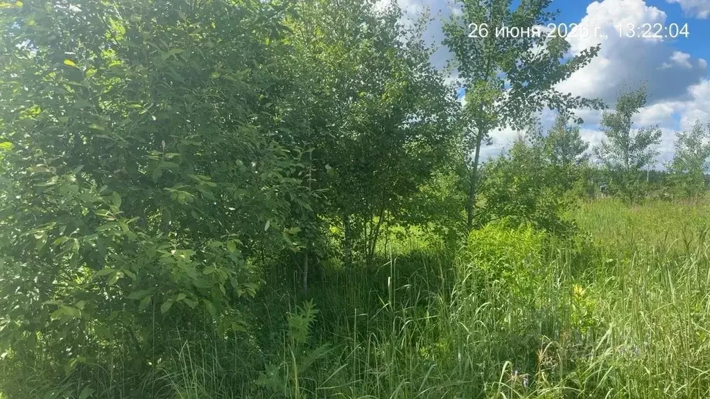 Участок в Московская область, Наро-Фоминский городской округ, д. Устье ... - Фото 1