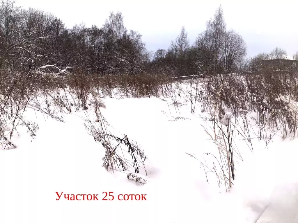 Участок в Костромская область, Красносельский район, Шолоховское ... - Фото 1