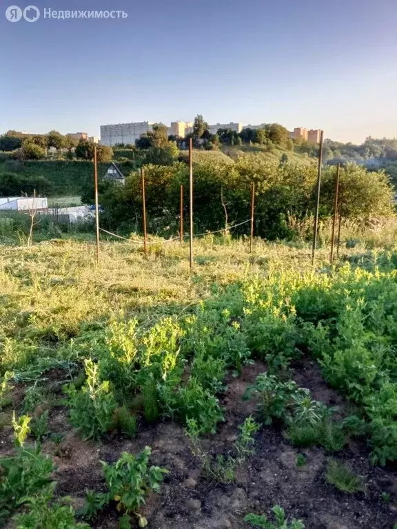 Участок в Пашковский сельсовет, СНТ Зелёная Роща, 110 (22.59 м) - Фото 2