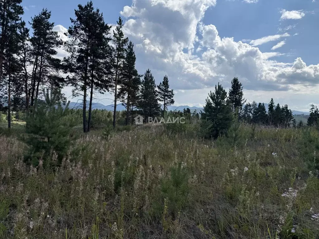 Участок в Бурятия, Улан-Удэ Забайкальский мкр, ул. Николая ... - Фото 1