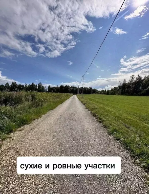 Участок в Ленинградская область, Гатчинский муниципальный округ, д. ... - Фото 1