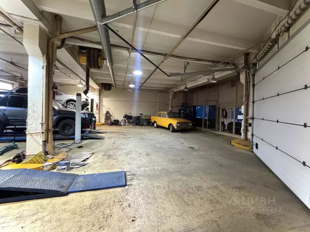 Помещение свободного назначения в Москва Кантемировская ул., 59А (242 ... - Фото 1