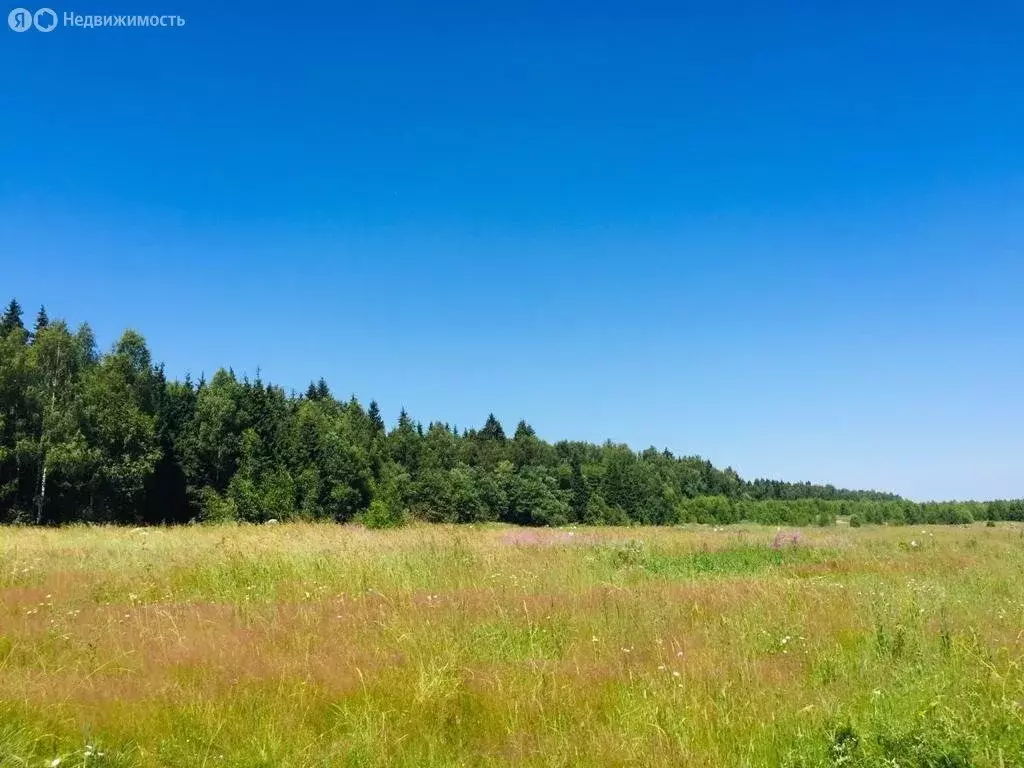 Участок в Наро-Фоминский городской округ, деревня Настасьино (8.44 м) - Фото 0