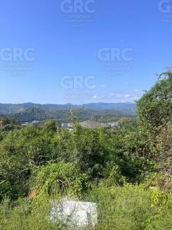 Участок в Краснодарский край, Сочи Чаевод СНТ, ул. Больничная (4.34 ... - Фото 2