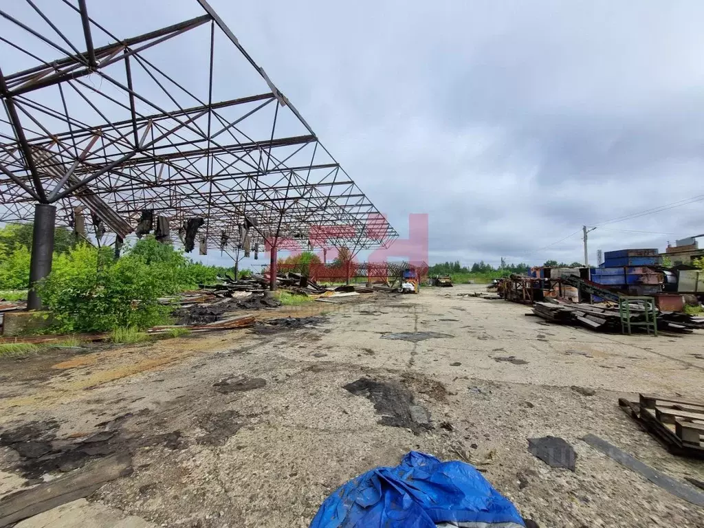 Склад в Ярославская область, Ярославль ул. Гагарина, 60Б (9000 м) - Фото 2