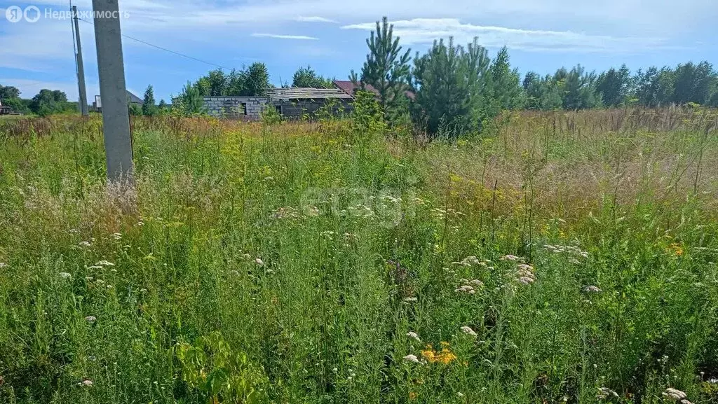 Участок в Первомайский район, посёлок Новый, микрорайон Александрова ... - Фото 0