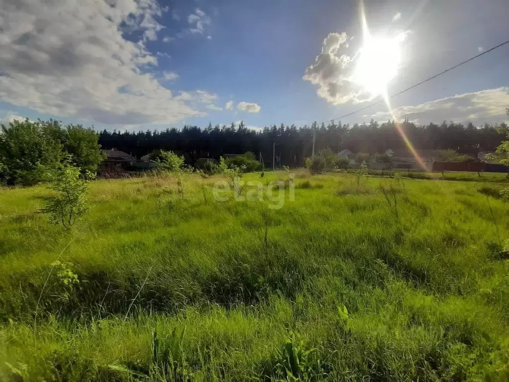Участок в Белгородская область, Волоконовка рп ул. 60 лет Октября ... - Фото 1