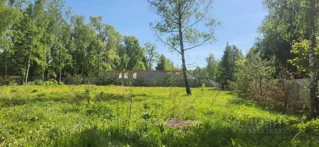 Участок в Московская область, Одинцовский городской округ, с. Юдино ... - Фото 0