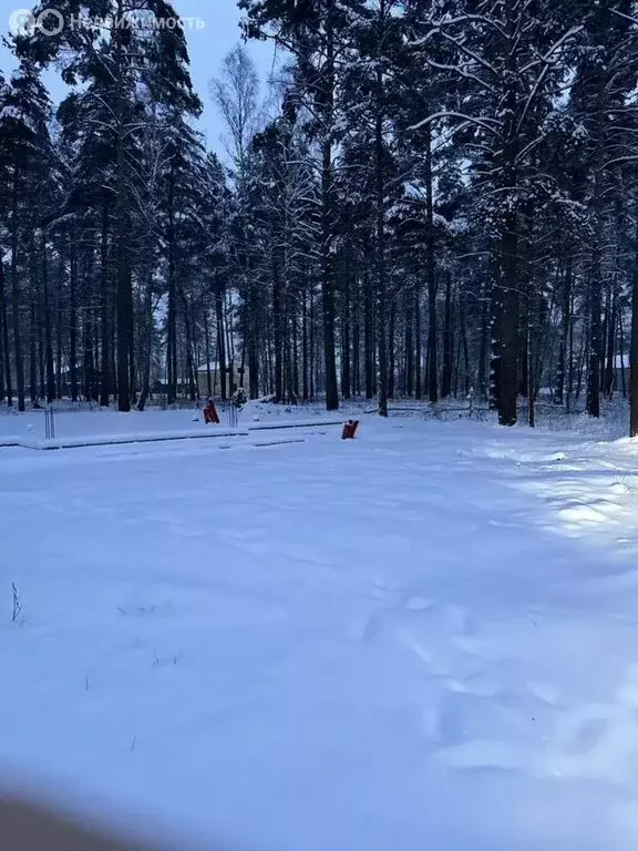 Участок в Богородский городской округ, КП Стулово (10 м) - Фото 1