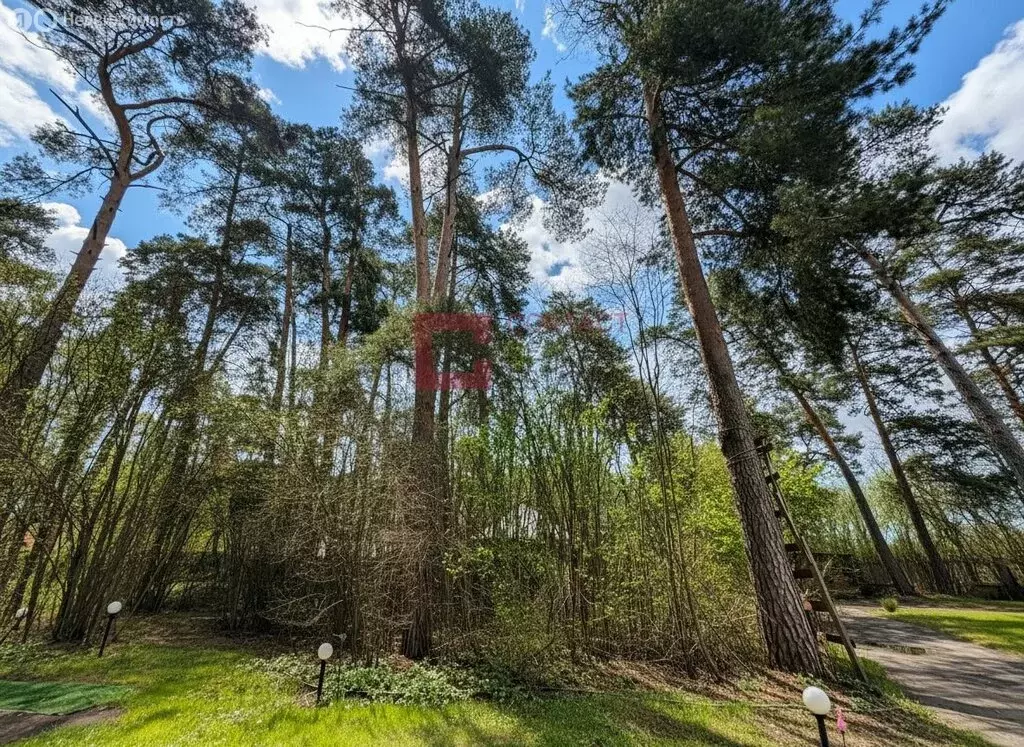 Участок в посёлок Николина Гора, проспект Шмидта (54 м) - Фото 1