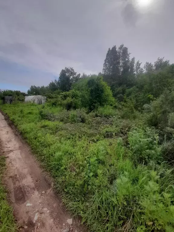 Дом в Хабаровский край, Хабаровск Родники садовое товарищество,  (15 ... - Фото 1