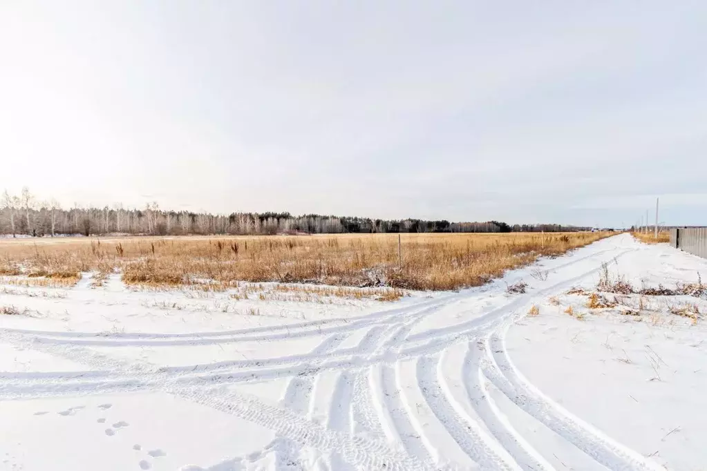 Участок в Свердловская область, Тугулымский муниципальный округ, с. ... - Фото 1