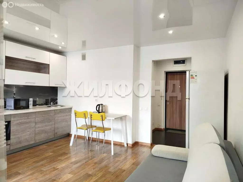 Квартира-студия: Новосибирск, Большевистская улица, 96 (23.7 м) - Фото 1