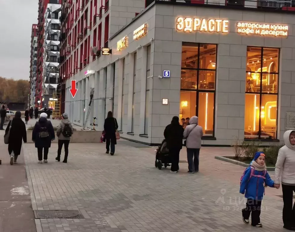 Помещение свободного назначения в Москва просп. Прокшинский, 5 (74 м) - Фото 2