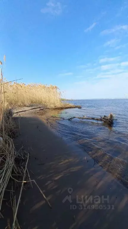 Дом в Саратовская область, Балаковский район, Натальинское ... - Фото 0