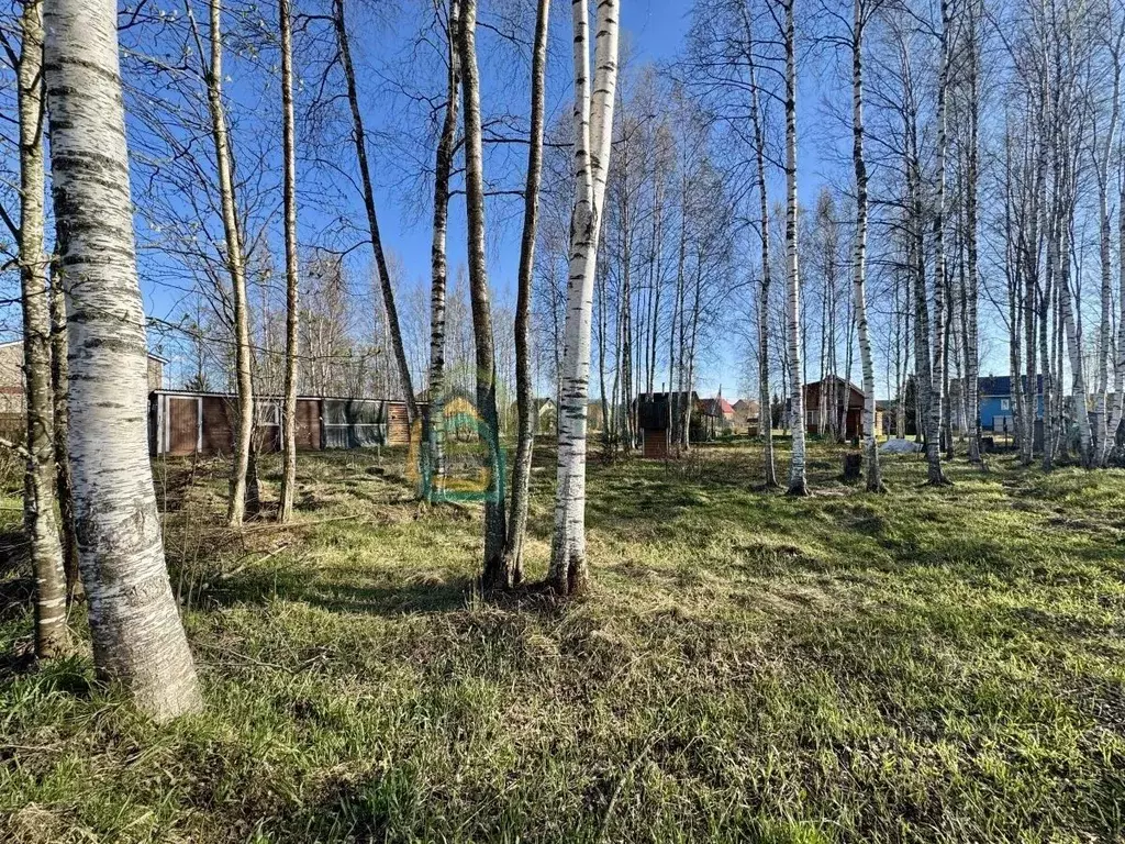 Участок в Ленинградская область, Приозерский район, Плодовское с/пос, ... - Фото 1