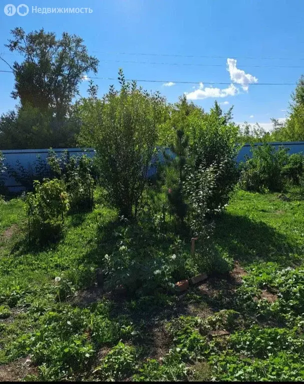 Участок в Беркут, Совхозная улица, 33 (11 м) - Фото 0