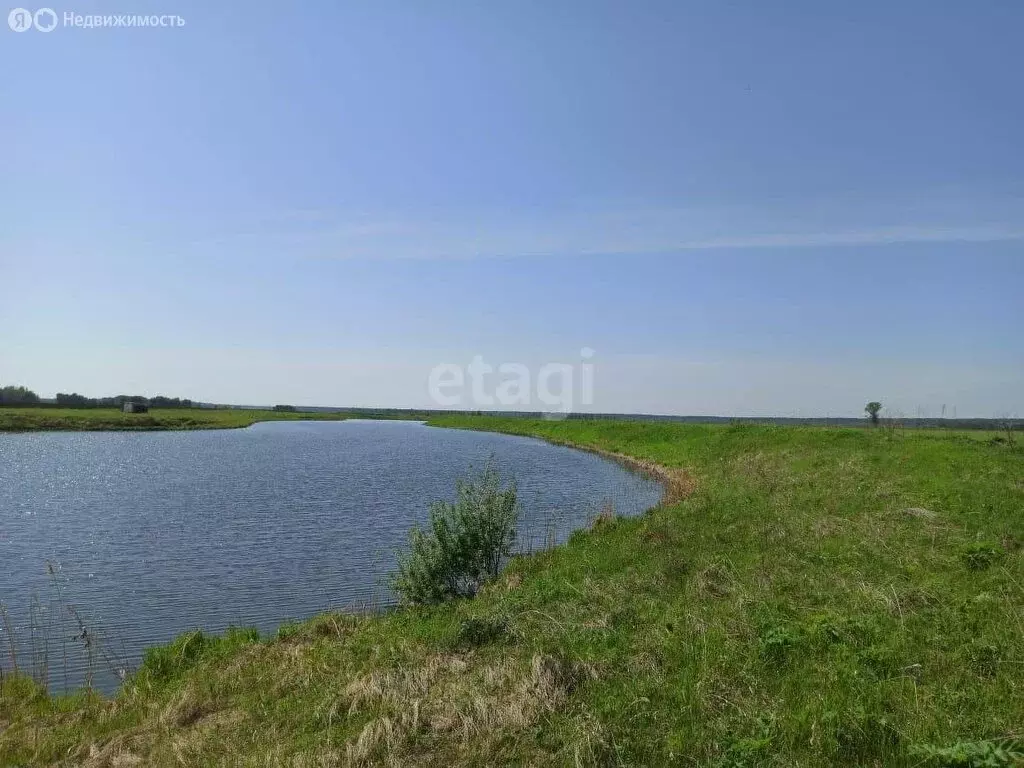 Участок в Томский район, село Вершинино (620 м) - Фото 0