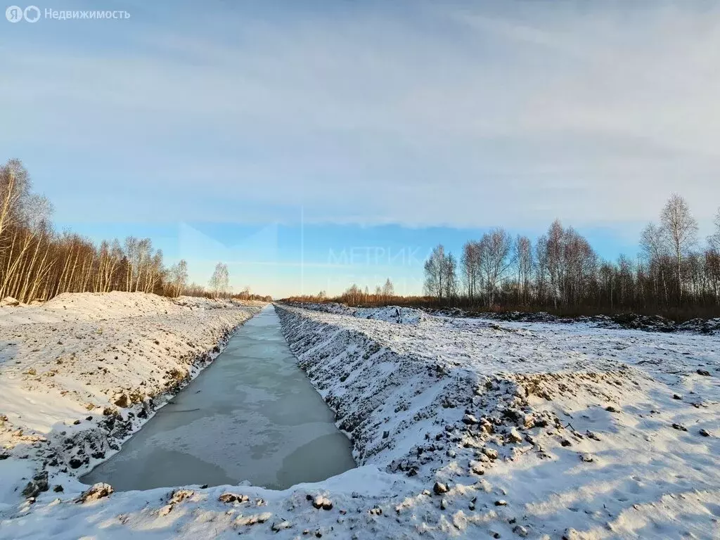 Участок в Тюменская область, Нижнетавдинский муниципальный округ (8 м) - Фото 1