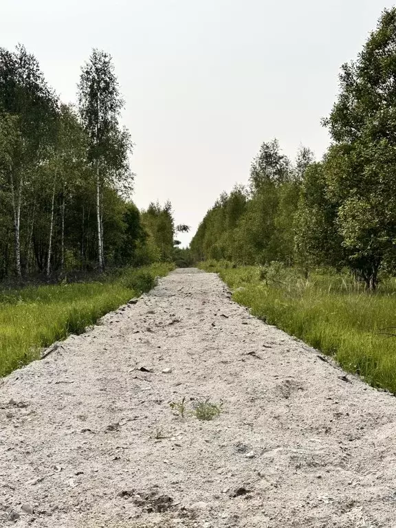 Участок в Тульская область, Ясногорский район, Иваньковское с/пос  ... - Фото 1