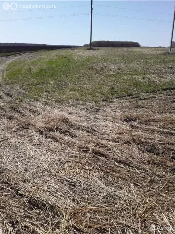 Участок в село Смолинское, улица Коммунаров (1000 м) - Фото 2