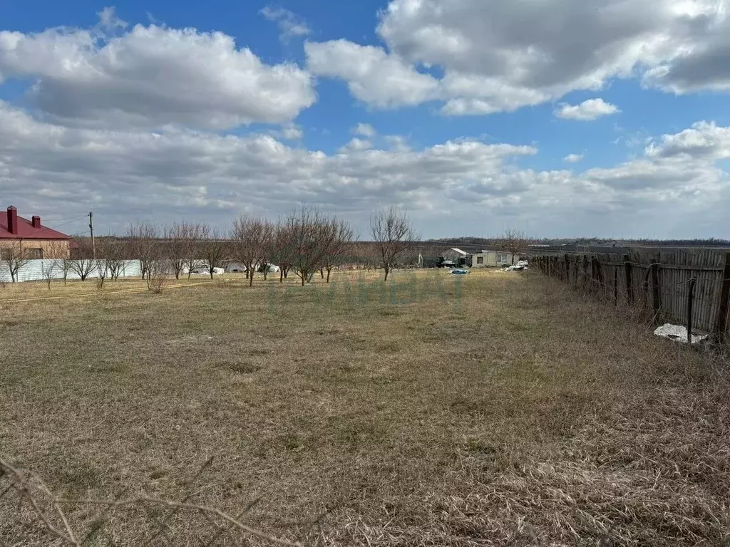 Участок в Ростовская область, Мясниковский район, Краснокрымское ... - Фото 1