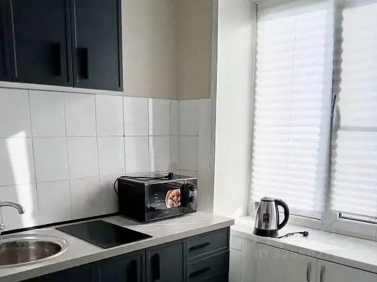 2-к кв. Новосибирская область, Новосибирск ул. Челюскинцев, 14 (39.9 ... - Фото 1