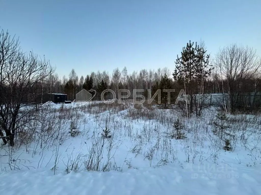 Участок в Тюменская область, Нижнетавдинский муниципальный округ, ... - Фото 1