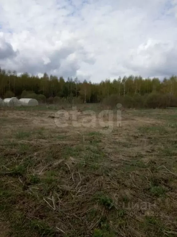 Участок в Московская область, Егорьевск городской округ, д. Карцево 52 ... - Фото 0