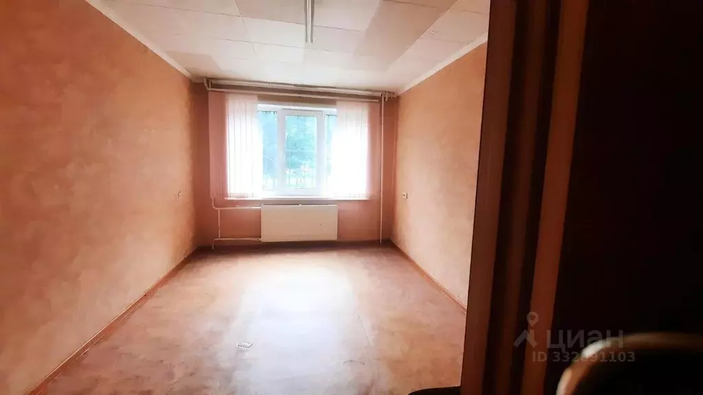Помещение свободного назначения в Алтайский край, Барнаул ул. Антона ... - Фото 1