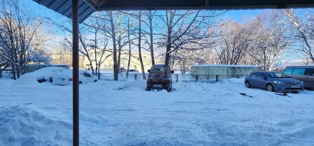 2-к кв. Камчатский край, Елизово Звездная ул., 7 (45.2 м) - Фото 2