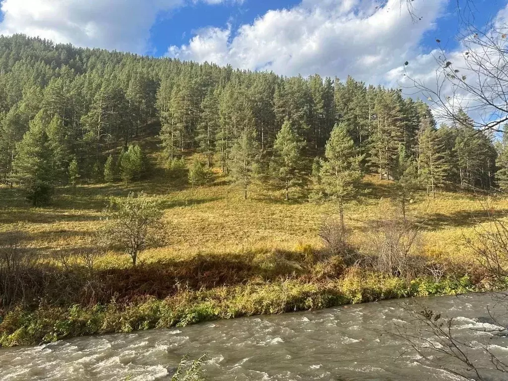 Участок в Алтай, Чемальский район, с. Нижний Куюм  (143.0 сот.) - Фото 1