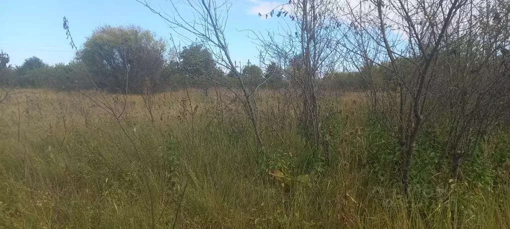 Участок в Краснодарский край, Северское с/пос, Бончковский хут. ул. ... - Фото 1