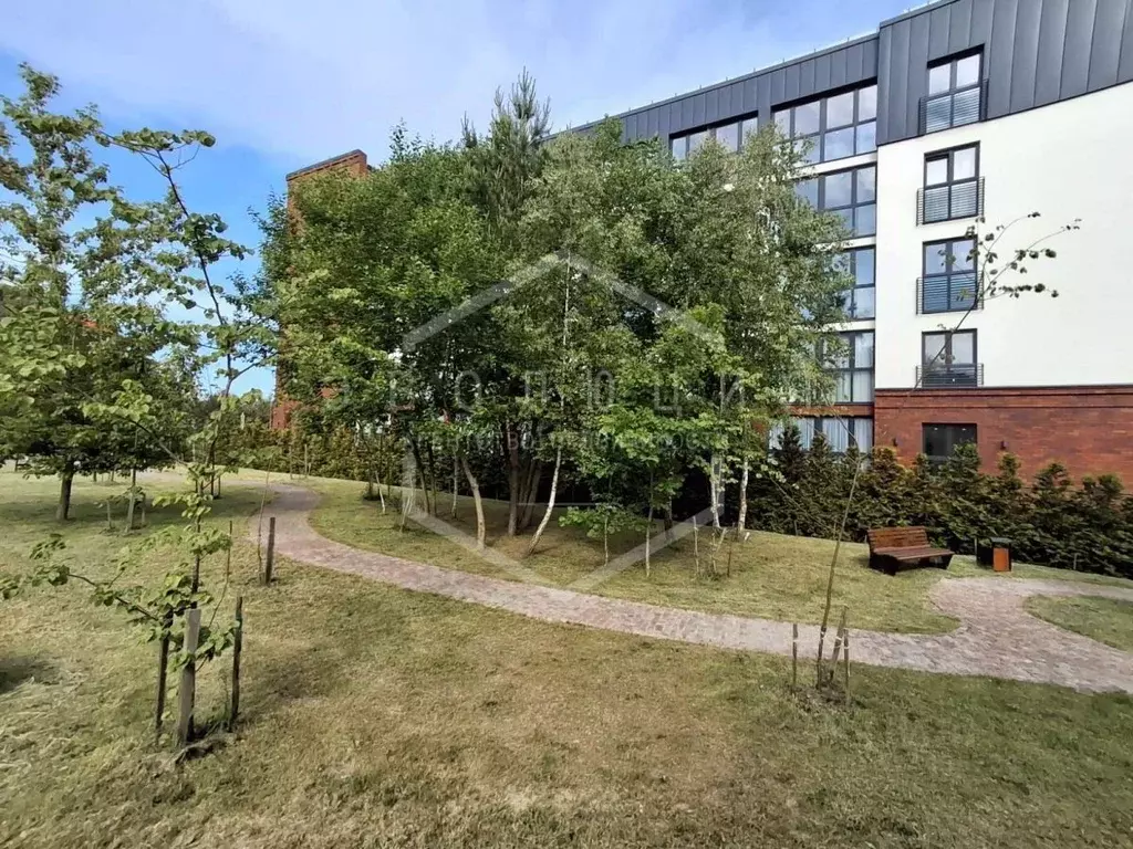 Студия Калининградская область, Светлогорск Олимпийский бул., 3 (46.0 ... - Фото 2