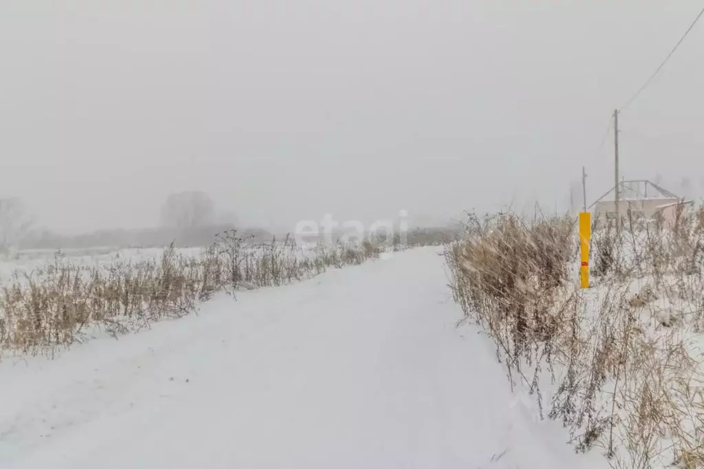 Участок в Челябинская область, Чебаркульский район, Шахматовское ... - Фото 1