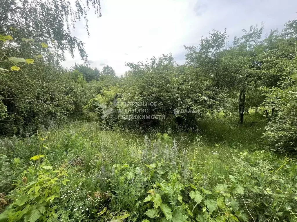 Дом в Рязанская область, Пронск рп пер. Первомайский, 7 (56 м) - Фото 2