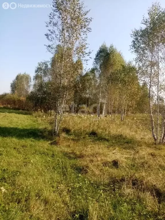 Участок в Курганская область, Далматово (11 м) - Фото 1