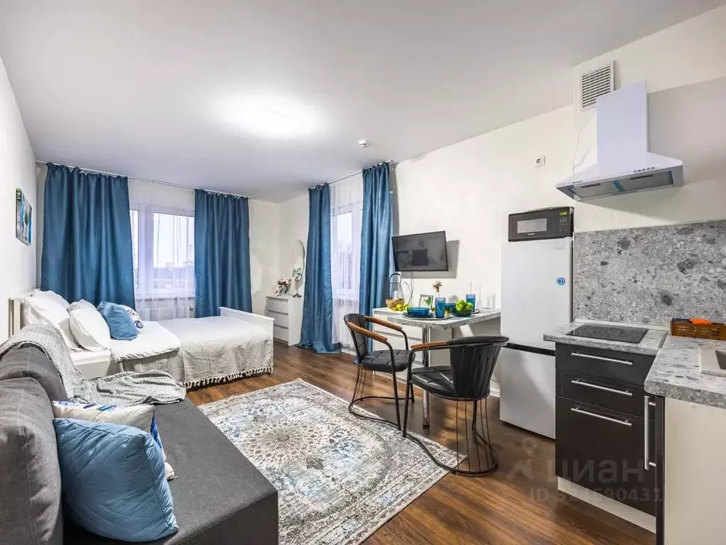 Студия Санкт-Петербург просп. Большевиков, 68к1 (27.0 м) - Фото 1