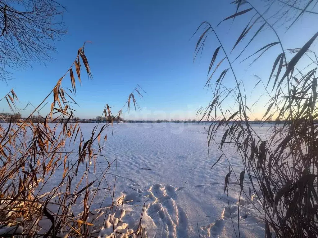 Участок в Курская область, Курский район, Моковский сельсовет, д. ... - Фото 1