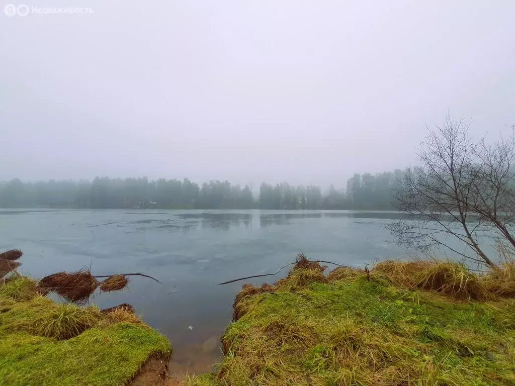 Участок в городской посёлок Вырица, исторический микрорайон Княжеская ... - Фото 1