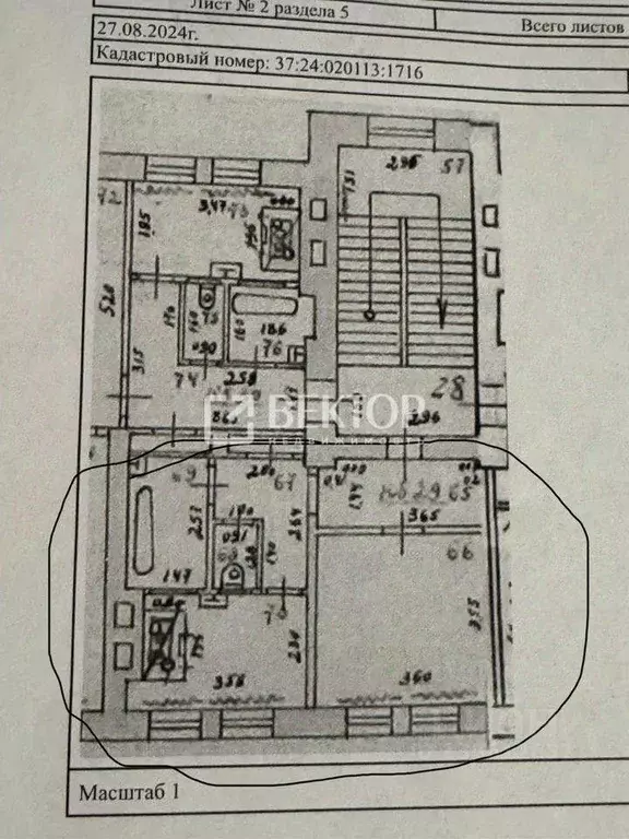 1-к кв. Ивановская область, Иваново ул. Калинина, 20 (34.4 м) - Фото 2