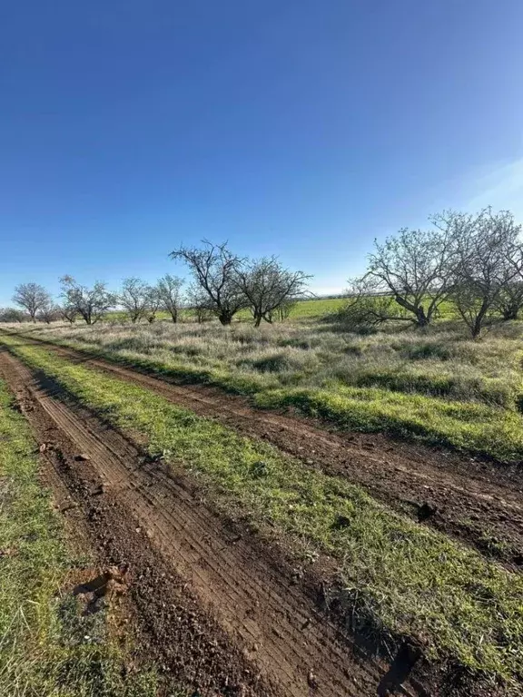 Участок в Крым, Бахчисарайский район, с. Песчаное  (300.0 сот.) - Фото 1