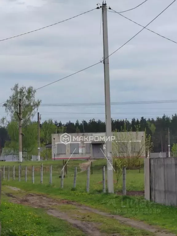 Участок в Брянская область, Выгоничский район, Хутор-Борское с/пос, ... - Фото 2